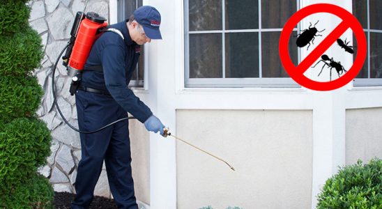 Akçakent Hamam Böceği İlaçlama böcek ilaçlama ve haşere kontrolü — ilaclama-tr.com